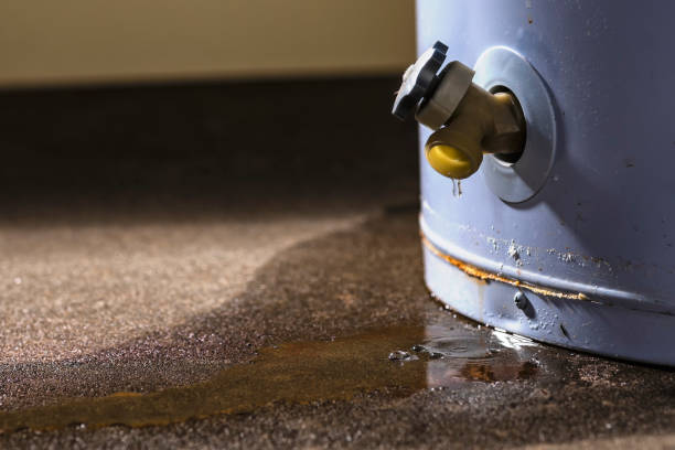 Best Fire Damage Restoration  in Bucyrus, OH