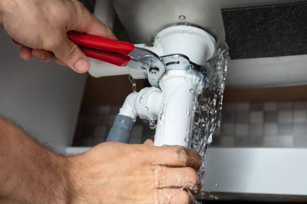 Best Water damage contractors near me  in Bucyrus, OH