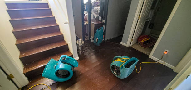 Best Water damage restoration process  in Bucyrus, OH