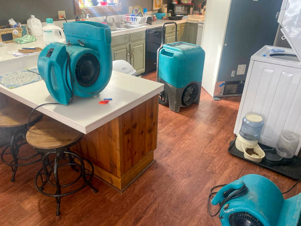 Best Local water damage restoration  in Bucyrus, OH