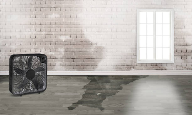 Best Flood restoration services  in Bucyrus, OH