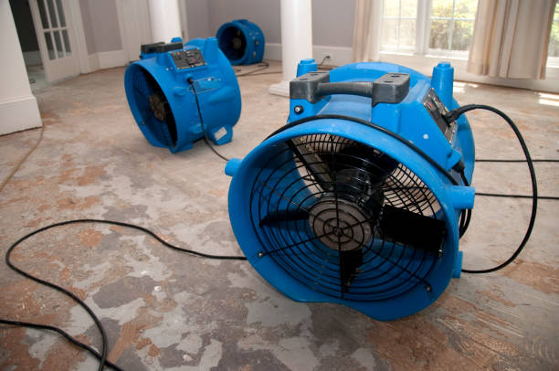 Best Water damage restoration near me  in Bucyrus, OH