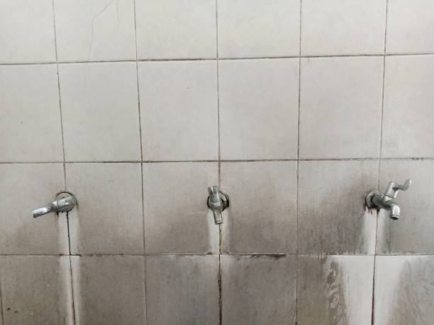 Best Water damage restoration experts  in Bucyrus, OH